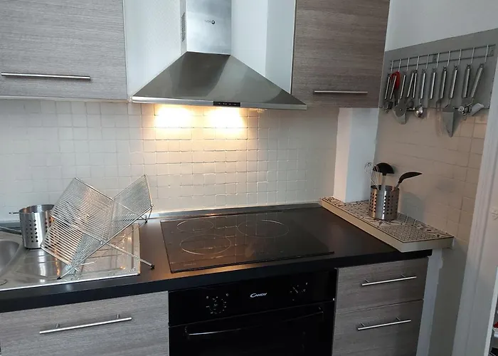 Coeur de ville T2 lumineux raffiné et élégant : résidence Lonchamp